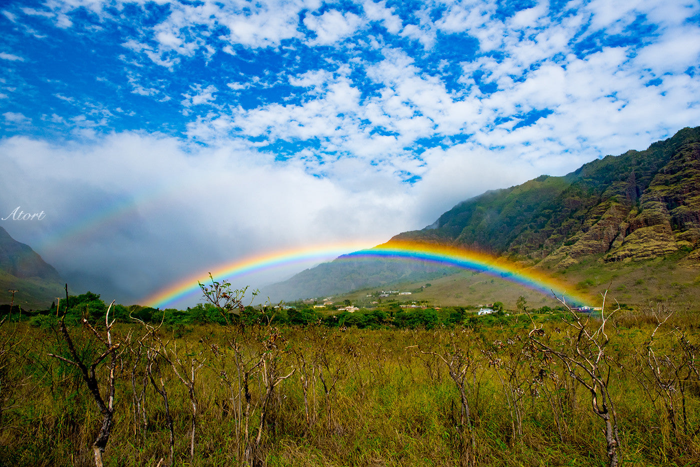 Magical Makaha Mom Mana