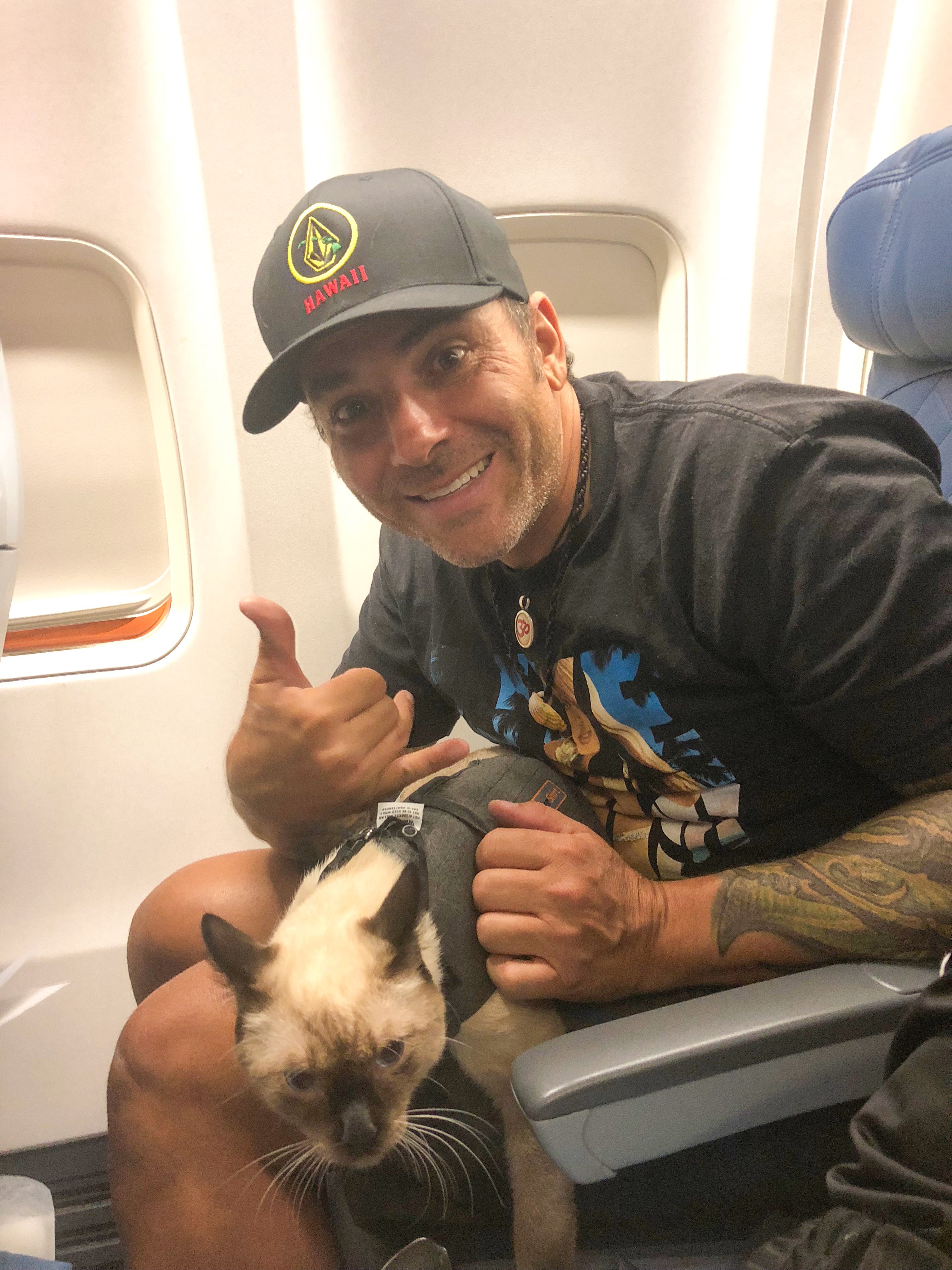 Traveling With Your Pets in Cabin with Delta