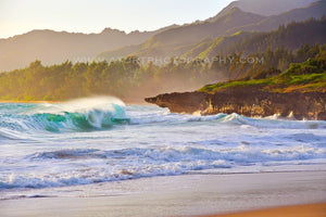 Oahu Hawaiian Paradise