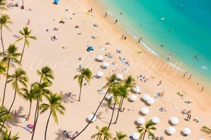 "Waikiki Beach Daze"